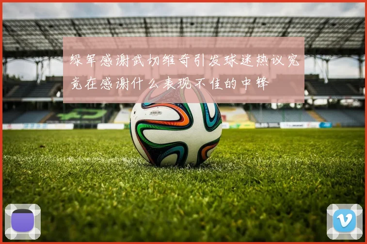 绿军感谢武切维奇引发球迷热议究竟在感谢什么表现不佳的中锋